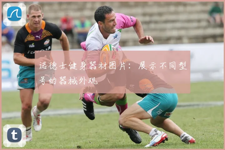 诺德士健身器材图片：展示不同型号的器械外观