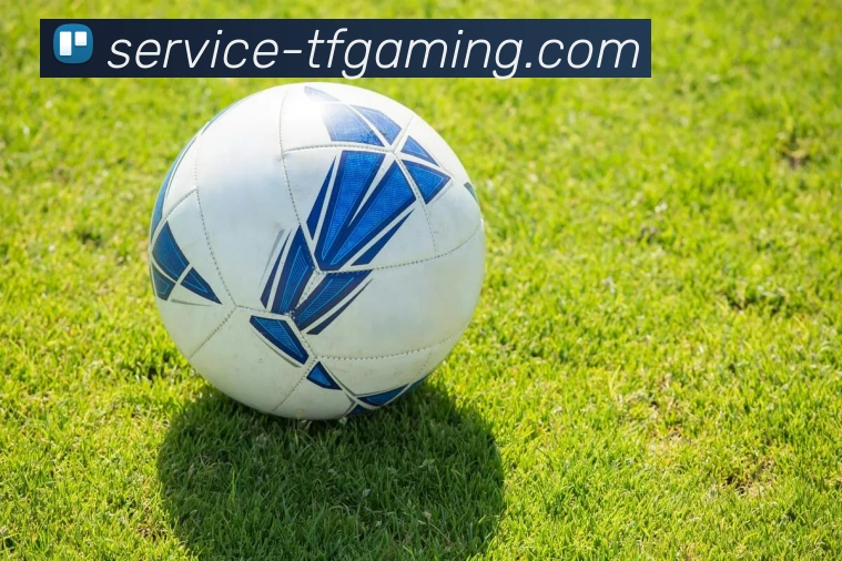 雷火电竞APPAPP 封面图